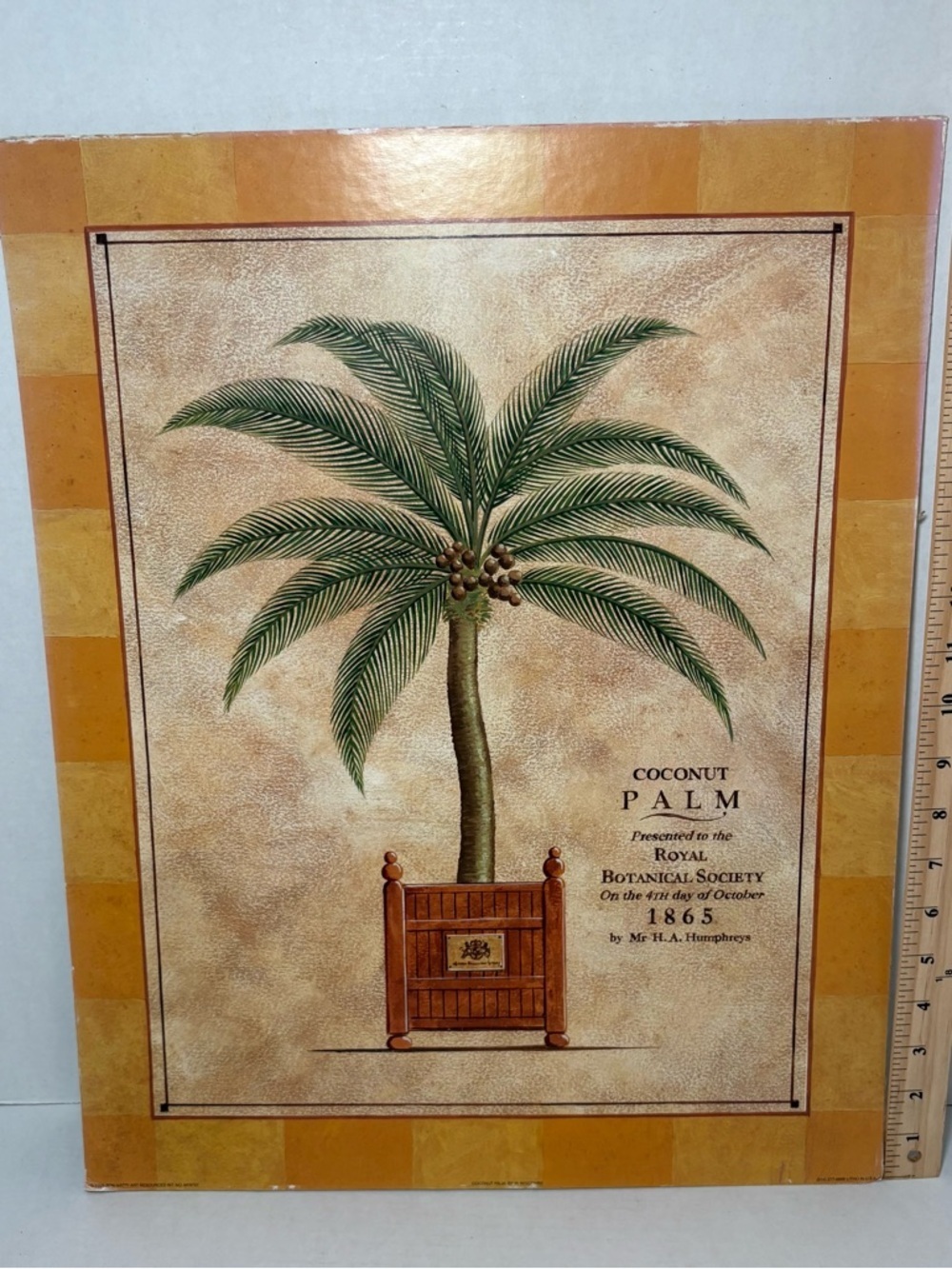 Vintage Royal Botanical Society Coconut Palm Art Print